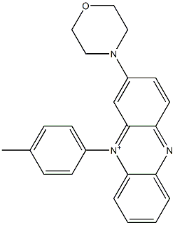 10-(4-methylphenyl)-2-(4-morpholinyl)phenazin-10-ium Struktur