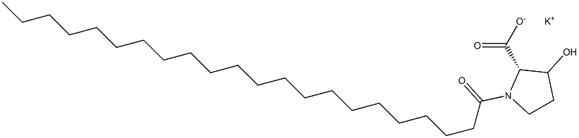 Potassium Behenoyl Hydroxyproline Struktur