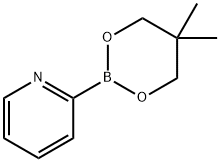 Pyridine-2-boronic acid neopentylglycol ester Struktur