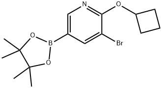 5-Bromo-6-(cyclobutoxy)pyridine-3-boronic acid pinacol ester Struktur