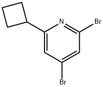 2,4-Dibromo-6-cyclobutylpyridine Struktur