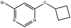 4-Bromo-6-cyclobutoxypyrimidine Struktur