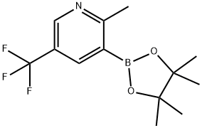 2-Methyl-5-trifluoromethylpyridine-3-boronic acid pinacol ester Struktur