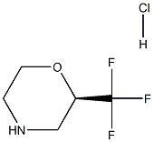 (2R)-2-(trifluoromethyl)morpholine hydrochloride Struktur