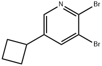 2,3-Dibromo-5-cyclobutylpyridine Struktur