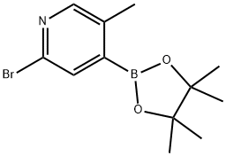 2-Bromo-5-methylpyridine-4-boronic acid pinacol ester Struktur