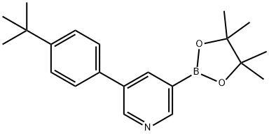 5-(4-tert-Butylphenyl)pyridine-3-boronic acid pinacol ester Struktur