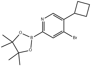 4-Bromo-5-(cyclobutyl)pyridine-2-boronic acid pinacol ester Struktur