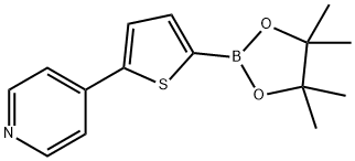 5-(4-Pyridyl)thiophene-2-boronic acid pinacol ester Struktur