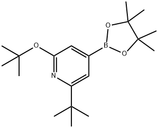 2-(tert-butoxy)-6-(tert-butyl)-4-(4,4,5,5-tetramethyl-1,3,2-dioxaborolan-2-yl)pyridine Struktur