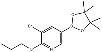 5-Bromo-6-(n-propoxy)pyridine-3-boronic acid pinacol ester Struktur