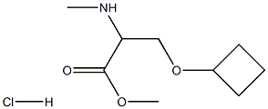 methyl 3-cyclobutoxy-2-(methylamino)propanoate hydrochloride Struktur