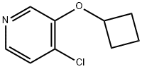 4-CHLORO-3-(CYCLOBUTOXY)PYRIDINE Struktur