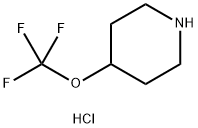 4-(trifluoromethoxy)piperidine hydrochloride Struktur