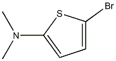 2-Bromo-5-(dimethylamino)thiophene Struktur