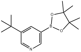 5-(TERT-BUTYL)PYRIDINE-3-BORONIC ACID PINACOL ESTER Struktur