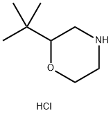 2-(tert-butyl)morpholine hydrochloride Struktur