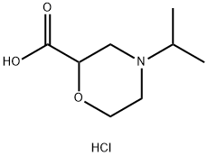 4-(propan-2-yl)morpholine-2-carboxylic acid hydrochloride Struktur