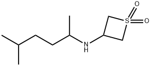 3-((5-methylhexan-2-yl)amino)thietane 1,1-dioxide Struktur