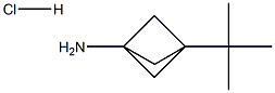 3-tert-butylbicyclo[1.1.1]pentan-1-amine hydrochloride Struktur