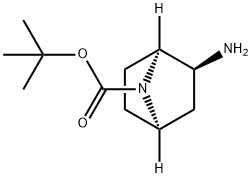 (1S,2S,4R)-tert-Butyl 2-amino-7-azabicyclo[2.2.1]heptane-7-carboxylate Struktur