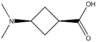 cis-3-(dimethylamino)cyclobutane-1-carboxylic acid Struktur