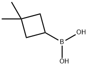 (3,3-dimethylcyclobutyl)boronic acid Struktur