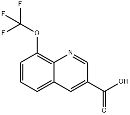 8-(trifluoromethoxy)quinoline-3-carboxylic acid Struktur