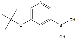 (5-(tert-butoxy)pyridin-3-yl)boronic acid Struktur