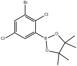 3-Bromo-2,5-dichlorophenylboronic acid pinacol ester Struktur