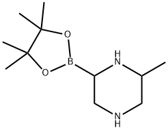 6-Methylpiperazine-2-boronic acid pinacol ester Struktur