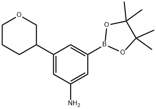 3-(tetrahydro-2H-pyran-3-yl)-5-(4,4,5,5-tetramethyl-1,3,2-dioxaborolan-2-yl)aniline Struktur