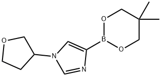 N-(Oxolan-3-yl)imidazole-4-boronic acid neopentylglycol ester Struktur