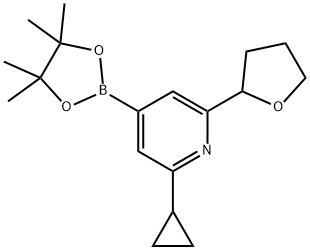 2-cyclopropyl-6-(tetrahydrofuran-2-yl)-4-(4,4,5,5-tetramethyl-1,3,2-dioxaborolan-2-yl)pyridine Struktur