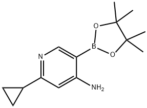 2-cyclopropyl-5-(4,4,5,5-tetramethyl-1,3,2-dioxaborolan-2-yl)pyridin-4-amine Struktur