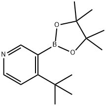 4-(tert-Butyl)pyridine-3-boronic acid pinacol ester Struktur