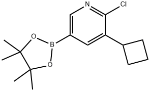 2-chloro-3-cyclobutyl-5-(4,4,5,5-tetramethyl-1,3,2-dioxaborolan-2-yl)pyridine Struktur