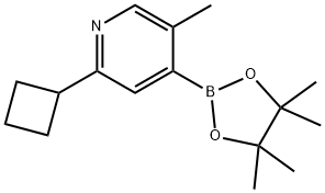 5-Methyl-2-(cyclobutyl)pyridine-4-boronic acid pinacol ester Struktur