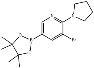 5-Bromo-6-(pyrrolidino)pyridine-3-boronic acid pinacol ester Struktur