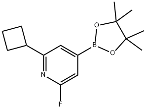 2-cyclobutyl-6-fluoro-4-(4,4,5,5-tetramethyl-1,3,2-dioxaborolan-2-yl)pyridine Struktur