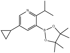 2-(iso-Propyl)-5-cyclopropylpyridine-3-boronic acid pinacol ester Struktur