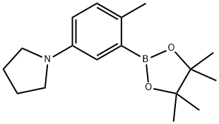 2-Methyl-5-(pyrrolidino)phenylboronic acid pinacol ester Struktur