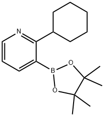 2-(Cyclohexyl)pyridine-3-boronic acid pinacol ester Struktur