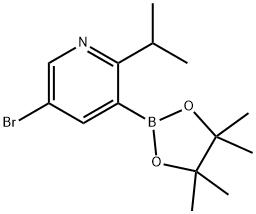 5-Bromo-2-(iso-propyl)pyridine-3-boronic acid pinacol ester Struktur