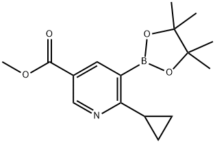 2-Cyclopropyl-5-(methoxycarbonyl)pyridine-3-boronic acid pinacol ester Struktur