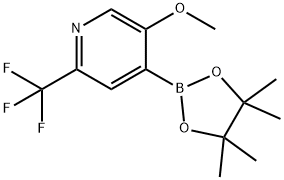 5-Methoxy-2-trifluoromethylpyridine-4-boronic acid pinacol ester Struktur