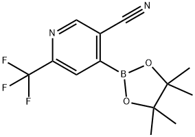 5-Cyano-2-trifluoromethylpyridine-4-boronic acid pinacol ester Struktur