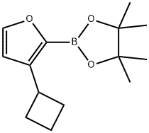 3-Cyclobutylfuran-2-boronic acid pinacol ester Struktur