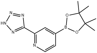 2-(1H-Tetraazol-5-yl)pyridine-4-boronic acid pinacol ester Struktur