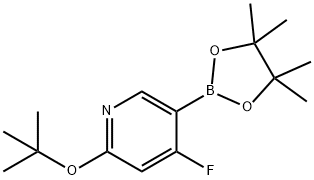 4-Fluoro-2-(tert-butoxy)pyridine-5-boronic acid pinacol ester Struktur